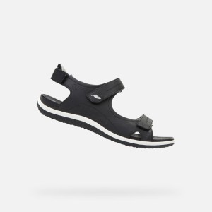 Sandały GEOX D SANDAL VEGA A Czarny