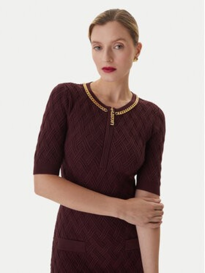 Elisabetta Franchi Sukienka koktajlowa AM-20B-56E2-V480 Bordowy Regular Fit