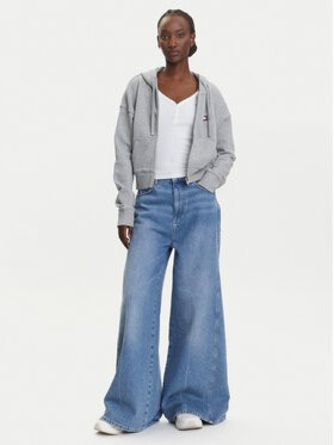 Tommy Jeans Bluza DW0DW21147 Szary Boxy Fit