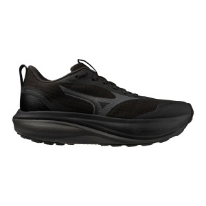 Damskie buty do biegania Mizuno Wave Rider Gtx 4