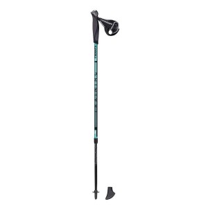 Kijki do nordic walking Masters Training