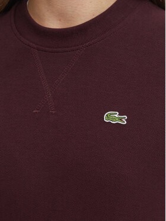 Lacoste Bluza SF5245 Bordowy Regular Fit