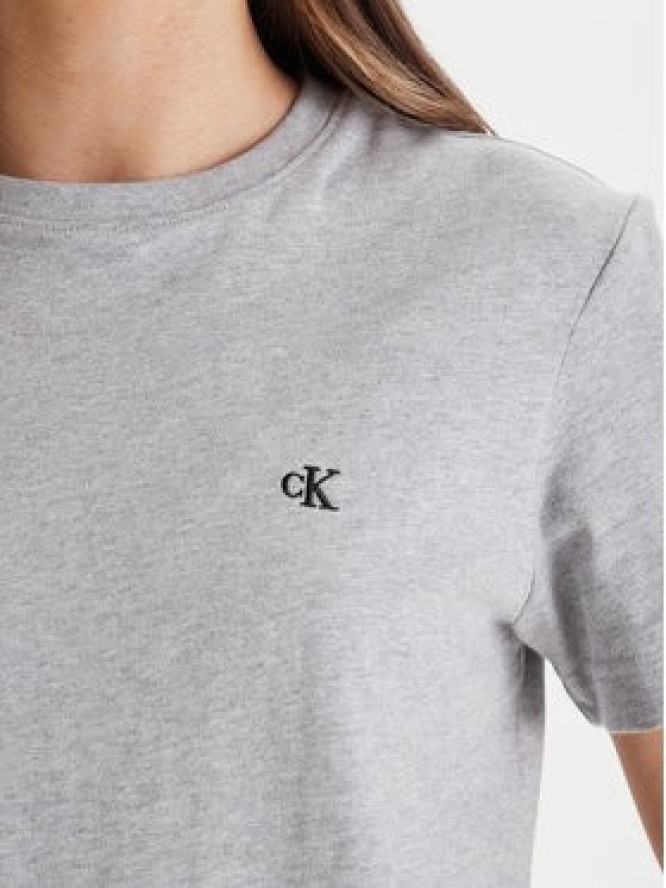 Calvin Klein Jeans T-Shirt Archive LV047B224G Szary Regular Fit
