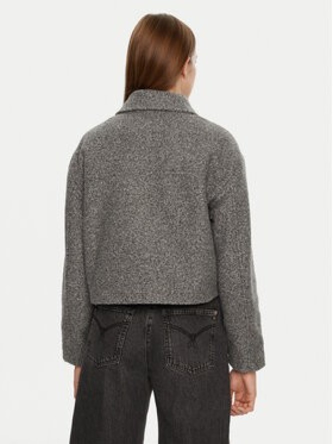 Brave Soul Kurtka przejściowa LJK-IZAI Szary Regular Fit