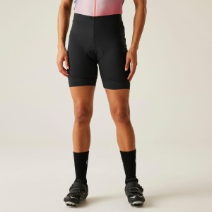 Habit damskie rowerowe szorty