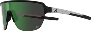 Okulary przeciwsłoneczne Alpina Ram 2.0 Q-Lite