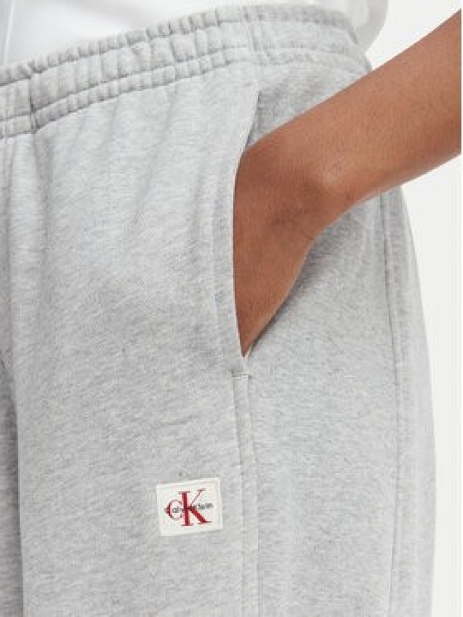 Calvin Klein Jeans Spodnie dresowe LV047C249G Szary jasny Regular Fit