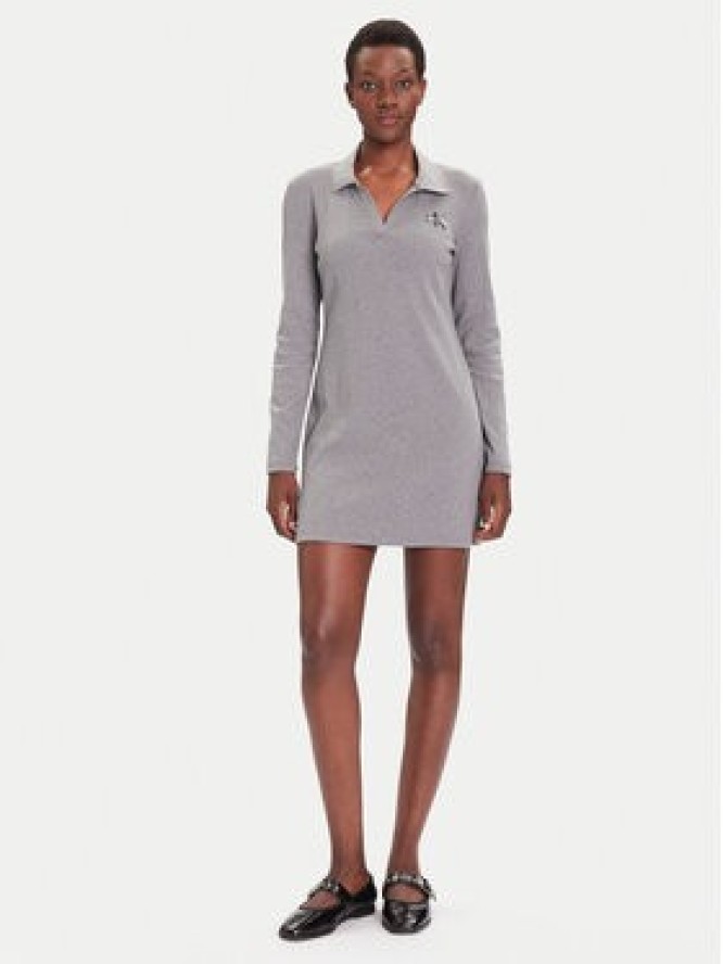 Calvin Klein Jeans Sukienka codzienna Monologo LV047D214G Szary Slim Fit