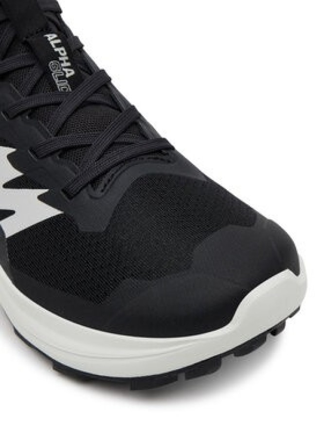 Salomon Buty do biegania Alphaglide L47801500 Czarny