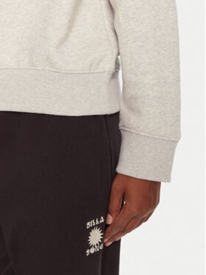 Billabong Bluza Familiy Tree EBJSF00191 Szary Regular Fit