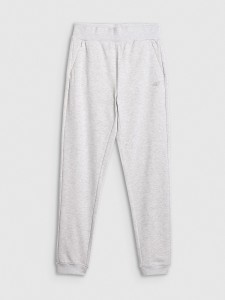 4F Spodnie dresowe joggery damskie - szare XL