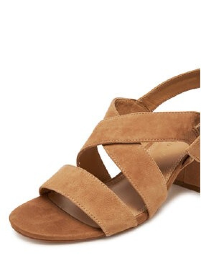 Sergio Bardi Sandały WYL4146-1Z-SB Brązowy