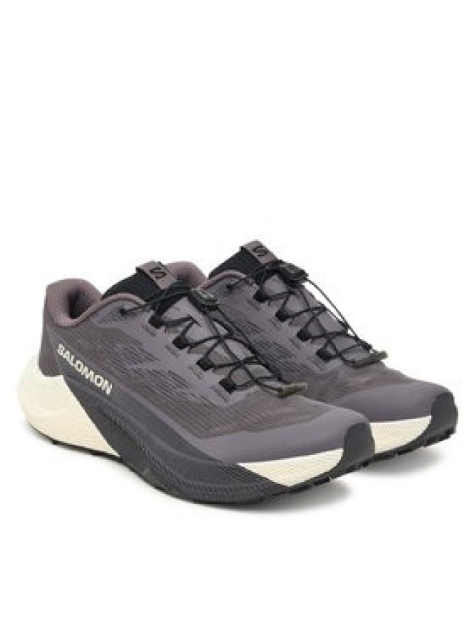 Salomon Buty do biegania Pulsar L47975500 Fioletowy