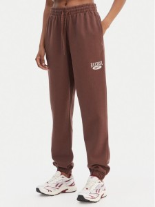 Reebok Spodnie dresowe Cl Ae Pant 100202799 Brązowy Regular Fit