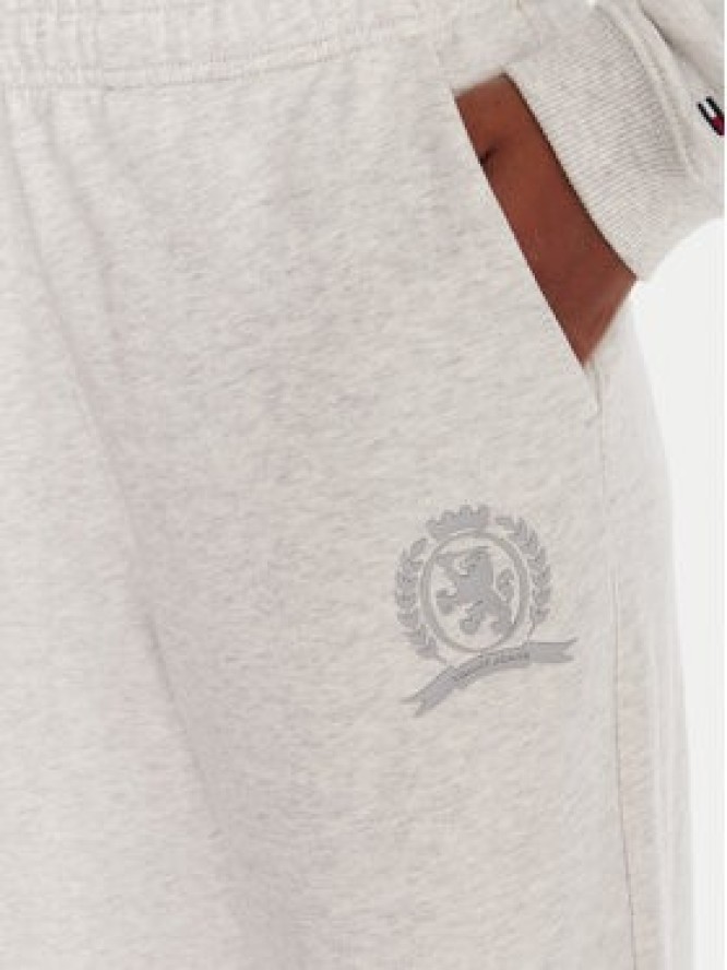 Tommy Jeans Spodnie dresowe DW0DW21702 Szary Regular Fit