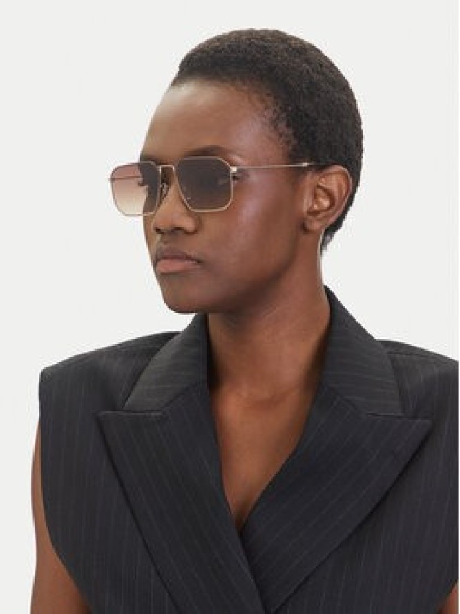 Emporio Armani Okulary przeciwsłoneczne 0EA2165D 300213 Brązowy