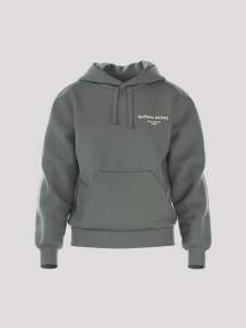 bjorn_borg BORG ESSENTIAL 1 HOODIE Damski AGAVE GREEN