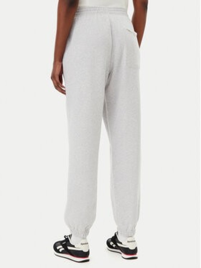 Reebok Spodnie dresowe 100221467 Szary Regular Fit