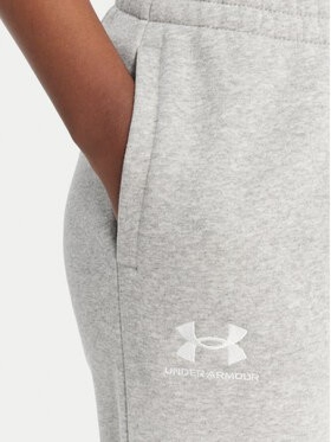 Under Armour Spodnie dresowe UA Icon Fleece 6001537 Szary Slim Fit