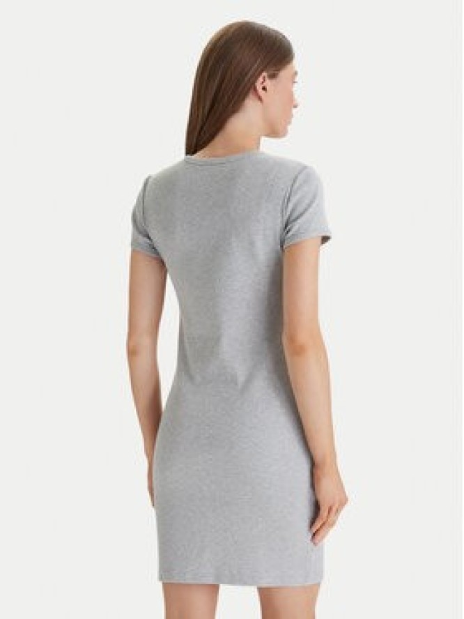 Calvin Klein Jeans Sukienka codzienna Monologo Baby LV047F241G Szary Slim Fit