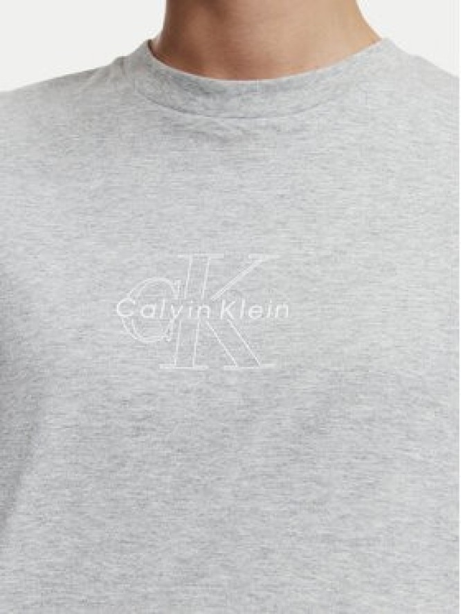 Calvin Klein Jeans T-Shirt LV047G831G Szary jasny Regular Fit