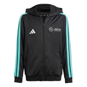 Bluza Z Kapturem Mercedes - Amg Petronas Formula One Team Dna Full Zip