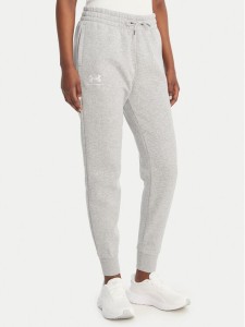 Under Armour Spodnie dresowe UA Icon Fleece 6001537 Szary Slim Fit