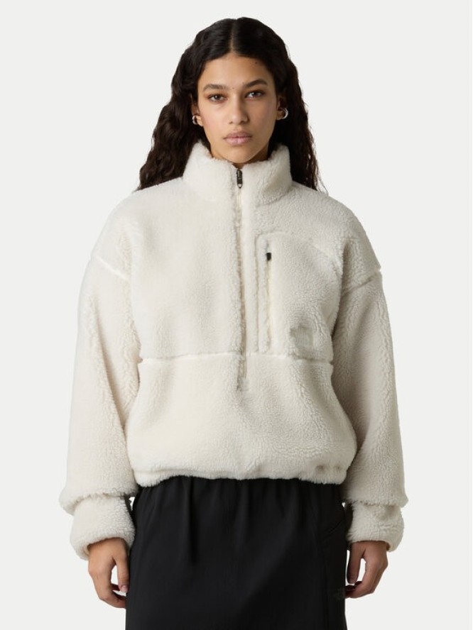 The North Face Polar Extreme Pile NF0A88ZC Beżowy Regular Fit