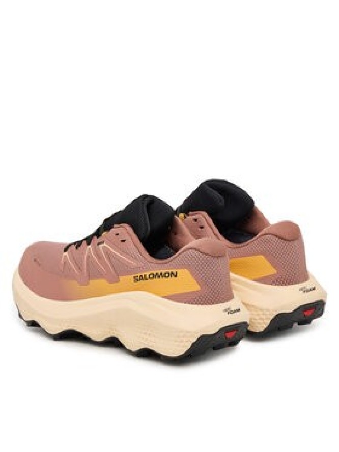 Salomon Buty do biegania Ultra Flow 2 Gtx L47884500 Różowy