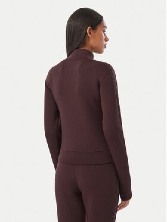 Guess Bluza V2YQ17 K7UW2 Brązowy ciemny Regular Fit