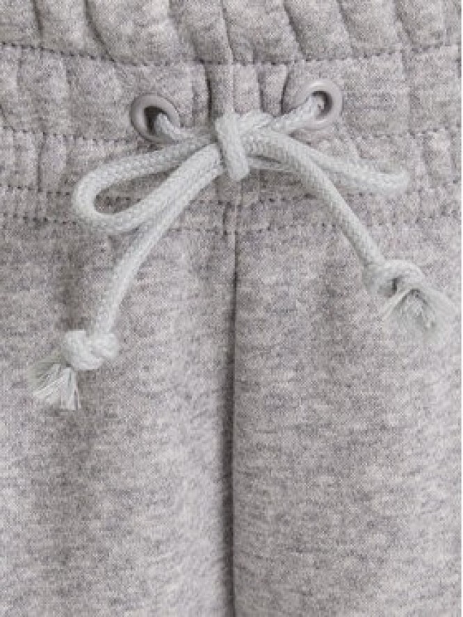 Nike Spodnie dresowe FZ7626 Szary Regular Fit