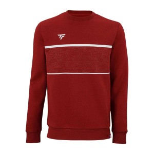 Tecnifibre Team Sweater 21tesw Junior