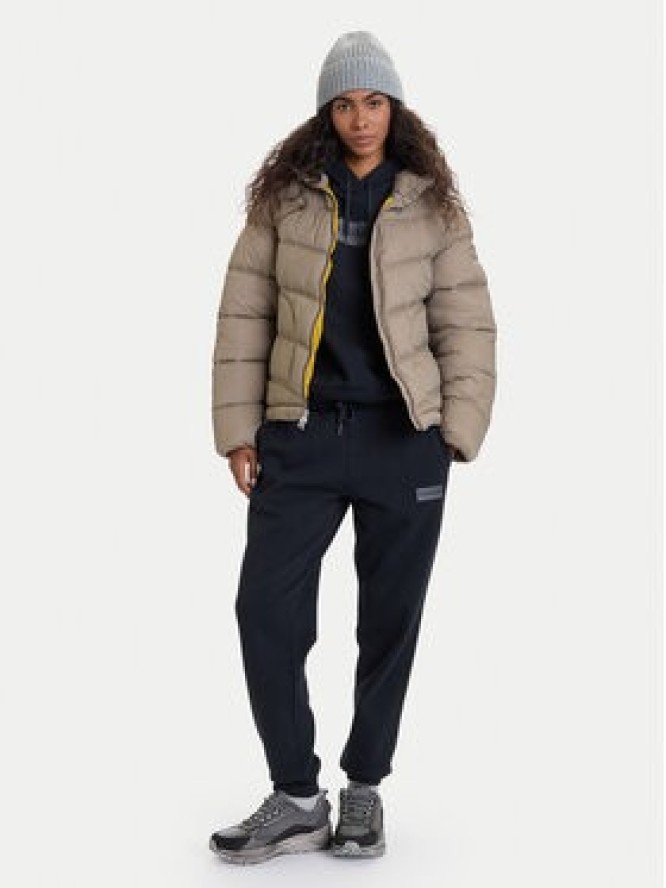 Napapijri Kurtka zimowa A-Ega NP0A88XD Szary Regular Fit