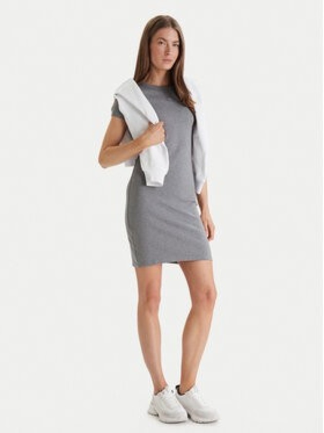 Calvin Klein Jeans Sukienka codzienna LV047B266G Szary Slim Fit