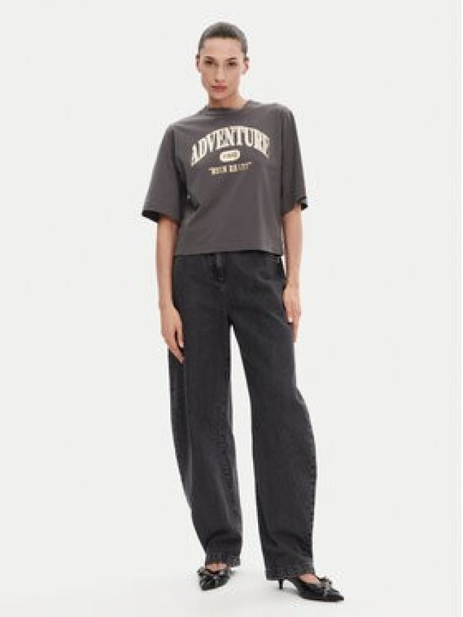 PINKO T-Shirt Niamey 104604 A2CS Szary Regular Fit