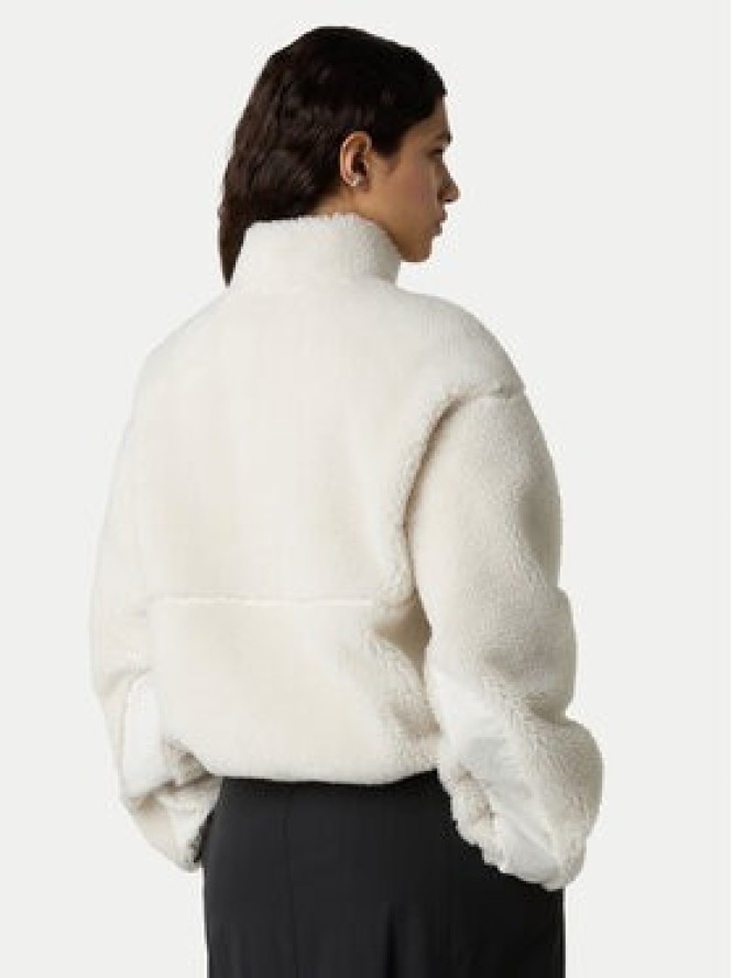 The North Face Polar Extreme Pile NF0A88ZC Beżowy Regular Fit