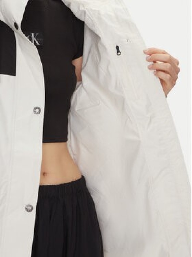 The North Face Parka Reign On NF0A8BCJ Écru Loose Fit