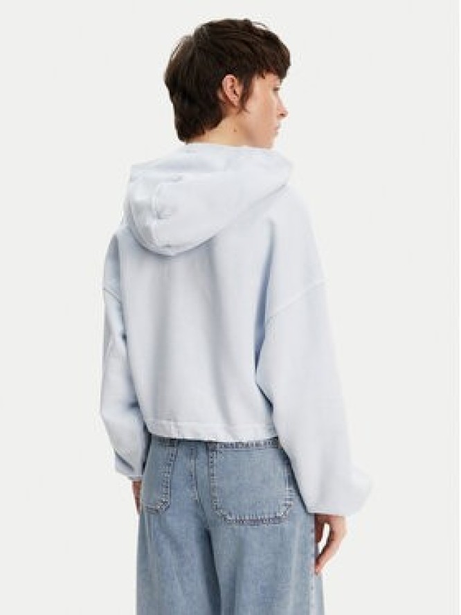 Tommy Jeans Bluza DW0DW20314 Niebieski Relaxed Fit