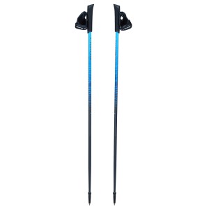 Kije do Nordic Walking dla dorosłych Viking Pro-Trainer, jednosekcyjne