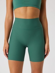 bjorn_borg STUDIO RIBBED SHORTS z recyklowanego poliamidu – MALLARD GREEN