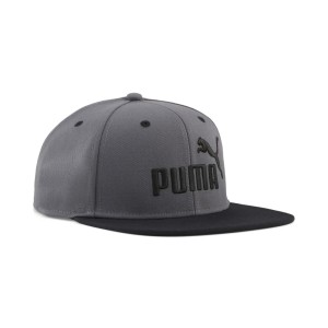 Czapka z płaskim daszkiem Essentials z logo No.1 PUMA
