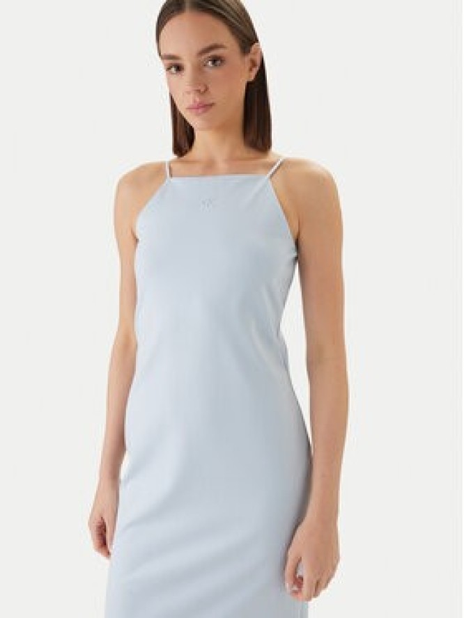 Calvin Klein Jeans Sukienka codzienna LV044F208G Niebieski Slim Fit