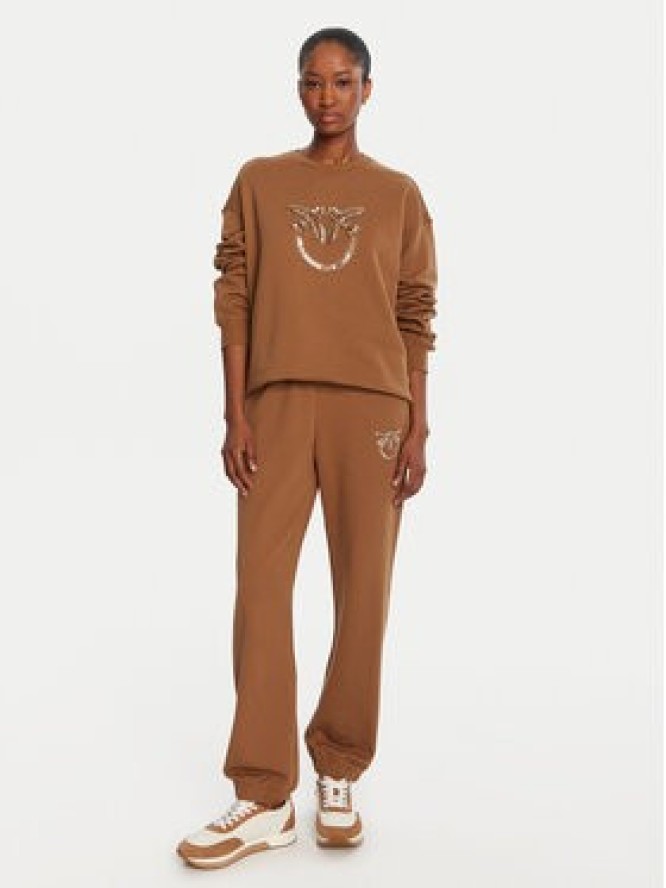PINKO Bluza Nelly 100534 A2RO Brązowy Regular Fit