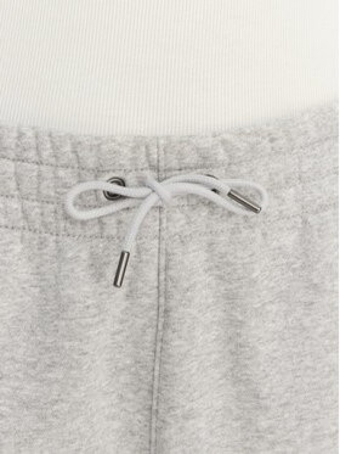 Under Armour Spodnie dresowe UA Icon Fleece 6001537 Szary Slim Fit