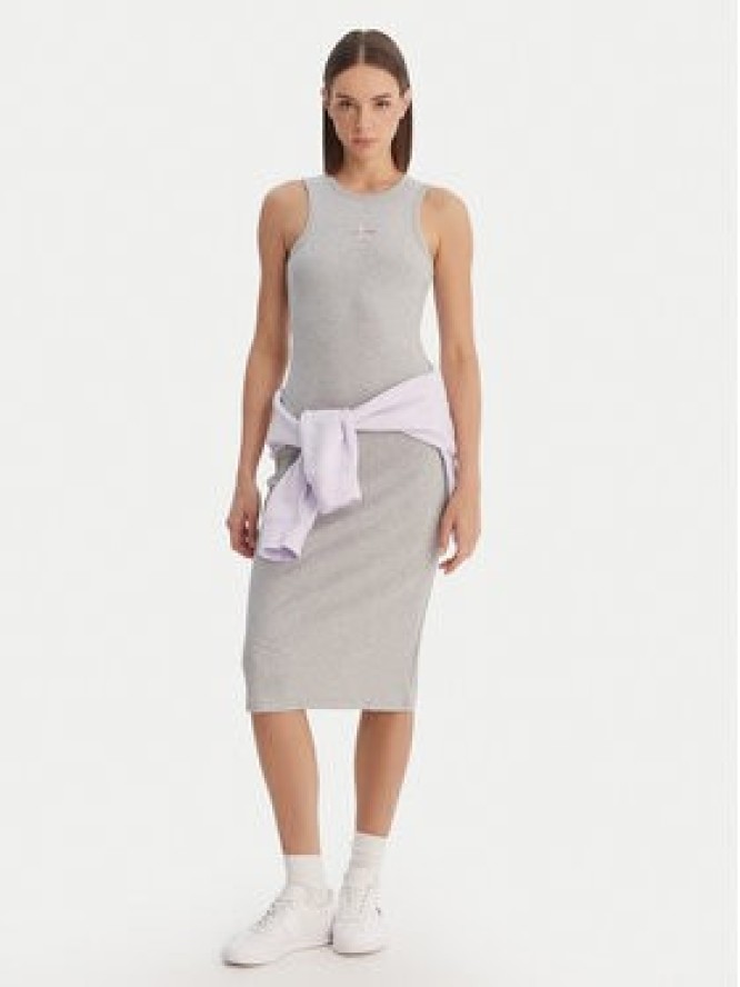 Calvin Klein Jeans Sukienka codzienna Monologo Baby LV047F242G Szary Slim Fit