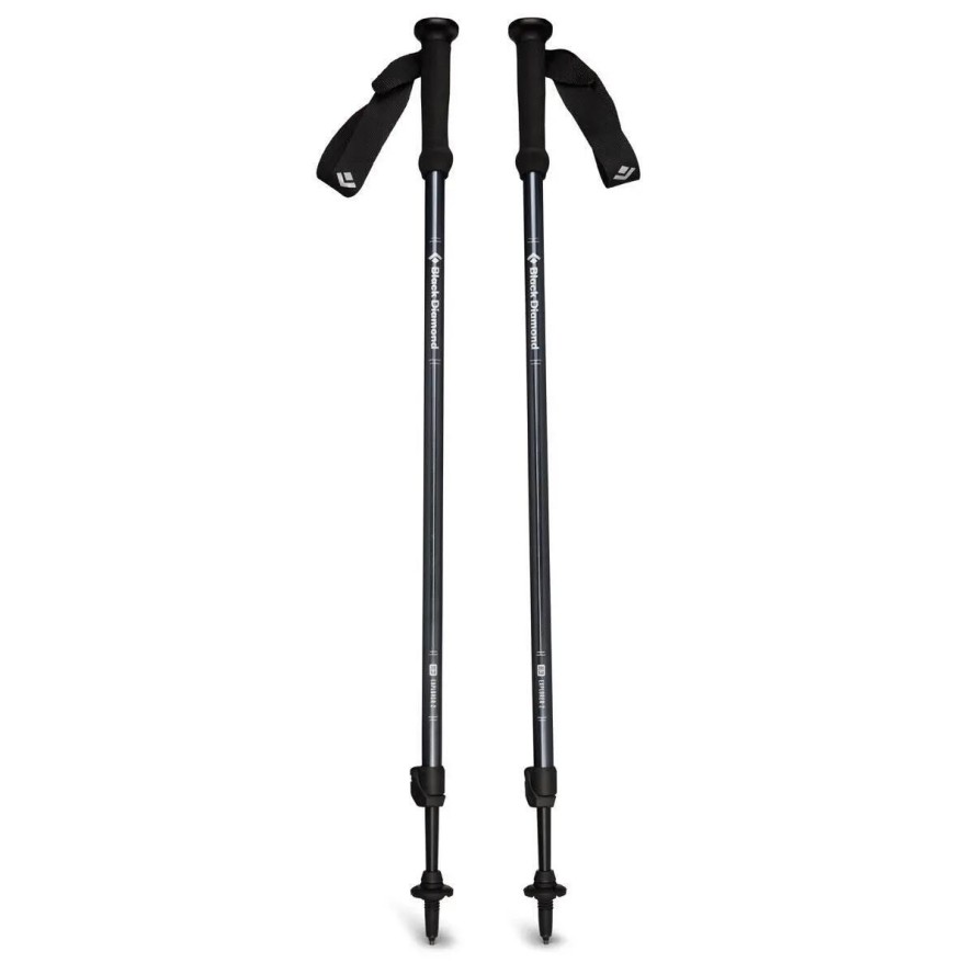Kije trekkingowe Black Diamond Explorer 2