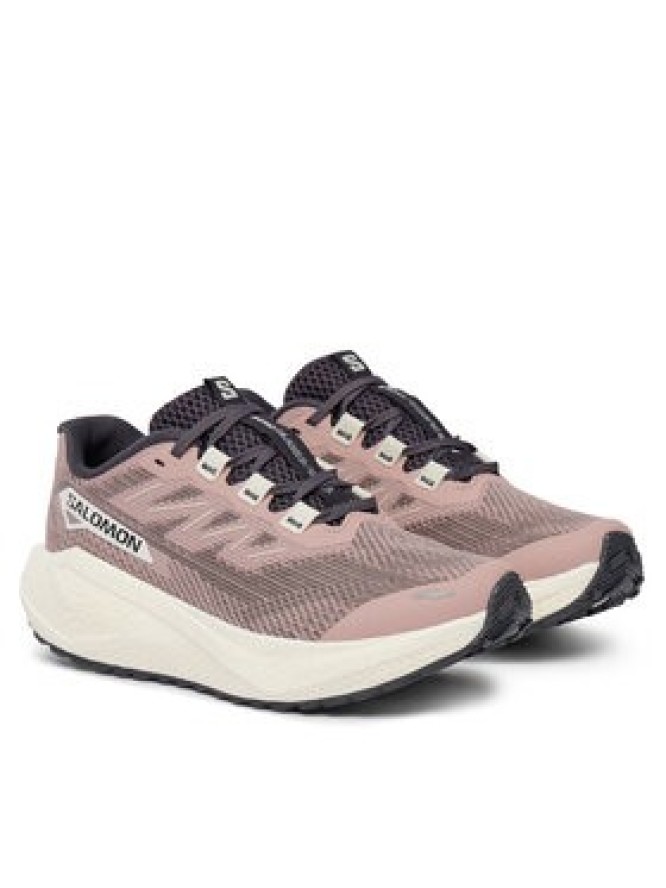 Salomon Buty do biegania Aero Blaze 3 Grvl W L49218000 Beżowy