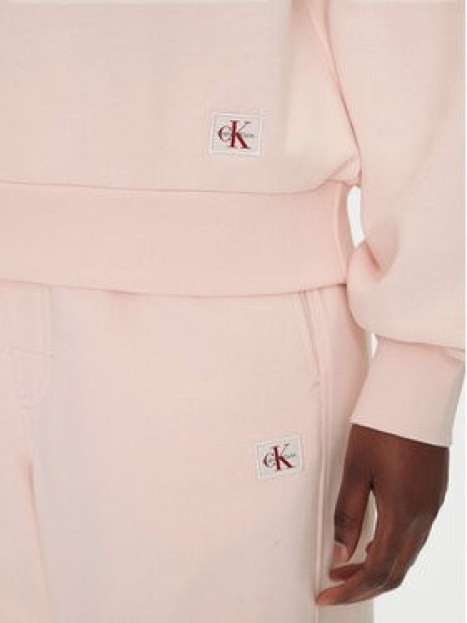 Calvin Klein Jeans Bluza LV047B238G Różowy Regular Fit