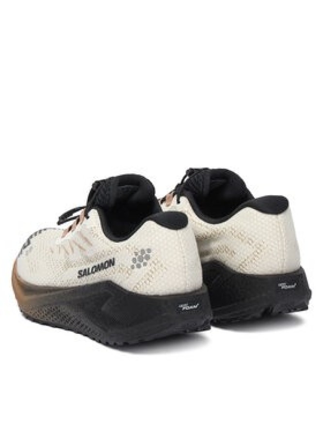 Salomon Buty do biegania Aero Blaze 4 gtx GORE-TEX L45403900 Beżowy