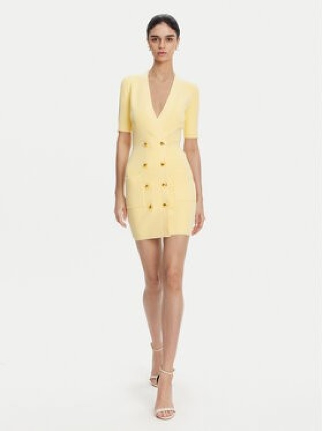 Elisabetta Franchi Sukienka dzianinowa AM-66S-51E2 Żółty Regular Fit